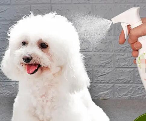 進口寵物用品報關流程步驟如何？(寵物用品進口清關流程)