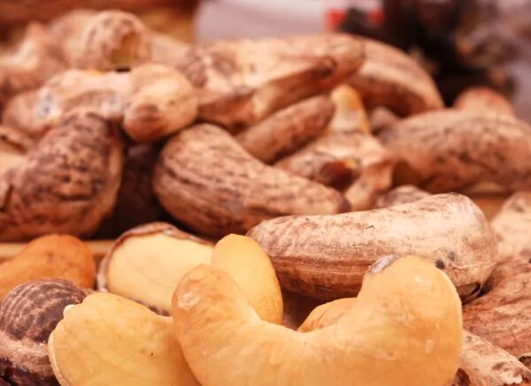 鹽焗腰果進口報關(guān)