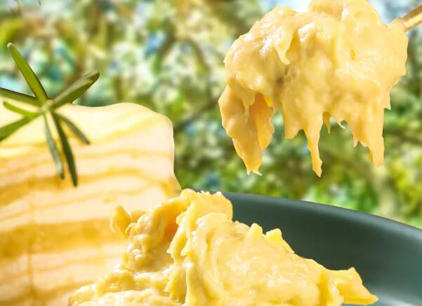 馬來西亞冷凍榴蓮果泥進口報關(guān)代理服務【清關(guān)案例】